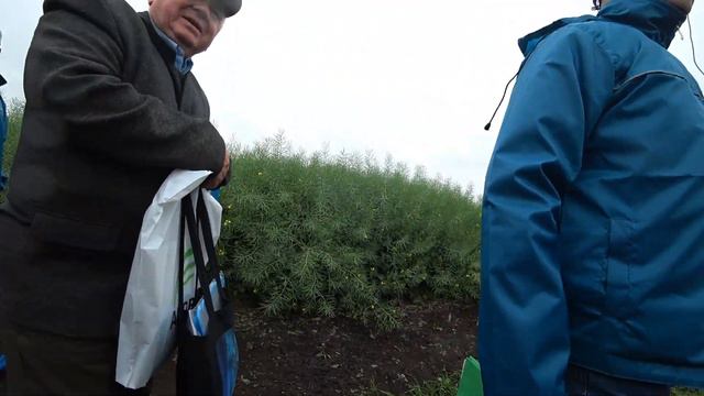 День поля Bayer арена. смотреть онлайн