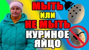 МЫТЬ ИЛИ НЕ МЫТЬ - куриное яйцо.