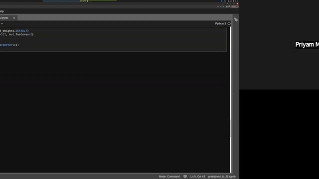 How to Use Pretrained Models смотреть онлайн