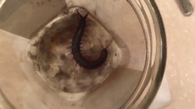 Взлёты и падения