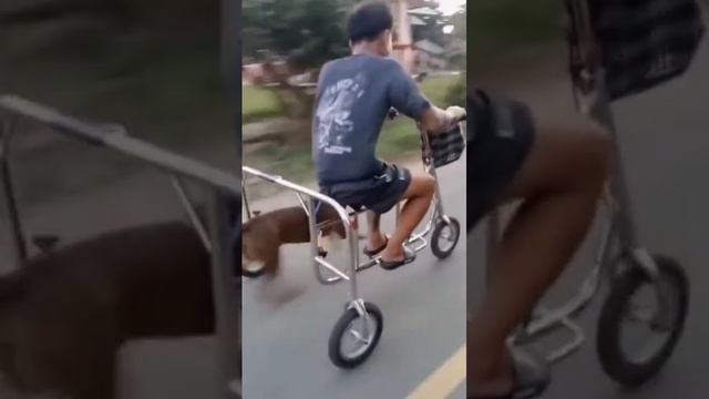 смышлёный малый смотреть онлайн