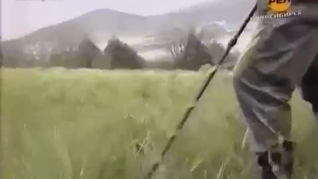 Чёрные копатели Youtube Original