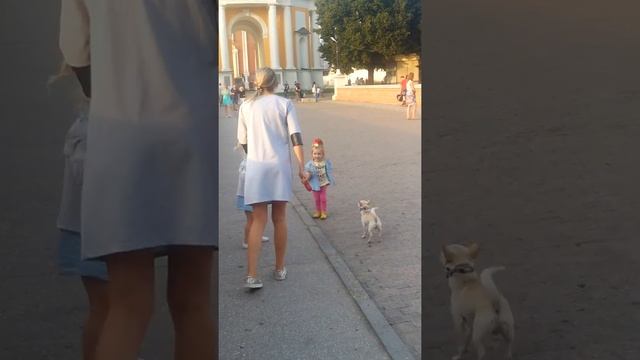 танцы у кремля рязань смотреть онлайн