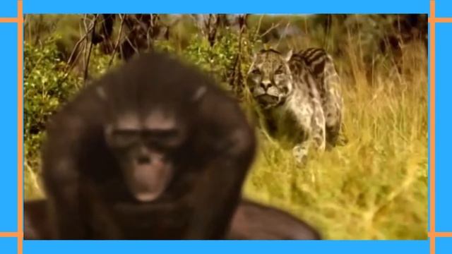 A Walking With Beasts Review