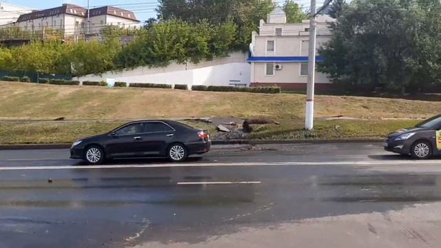 В Чебоксарах прорвало трубу на Президентском бульваре смотреть онлайн