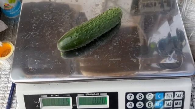 После слёз пришло облегчение и обновление, значит, было надо. Сантехника/электрика в зимней теплице смотреть онлайн