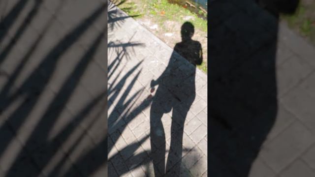 Олеандр-руками не трогать ! 10.2020 смотреть онлайн