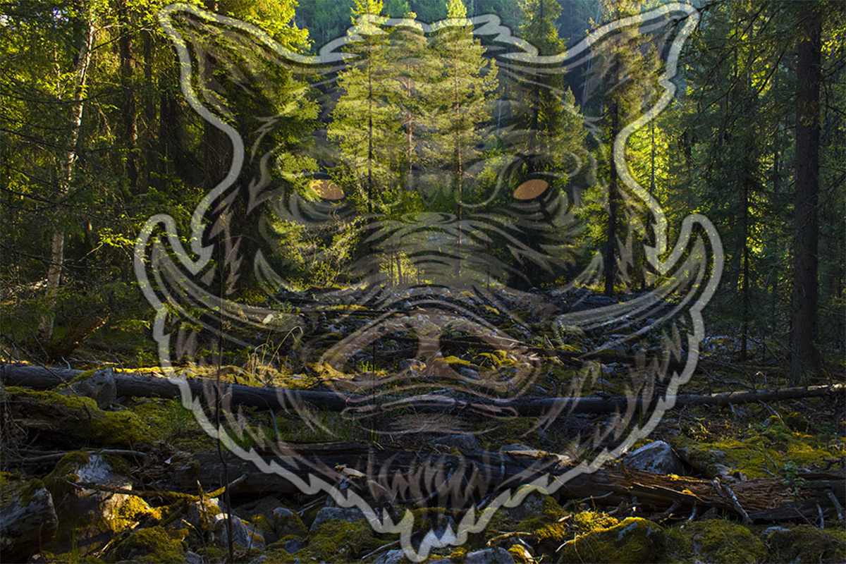 Ружьё он так и не нашёл! смотреть онлайн