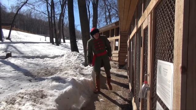 Как Иван царевич Серого Волка спасал смотреть онлайн