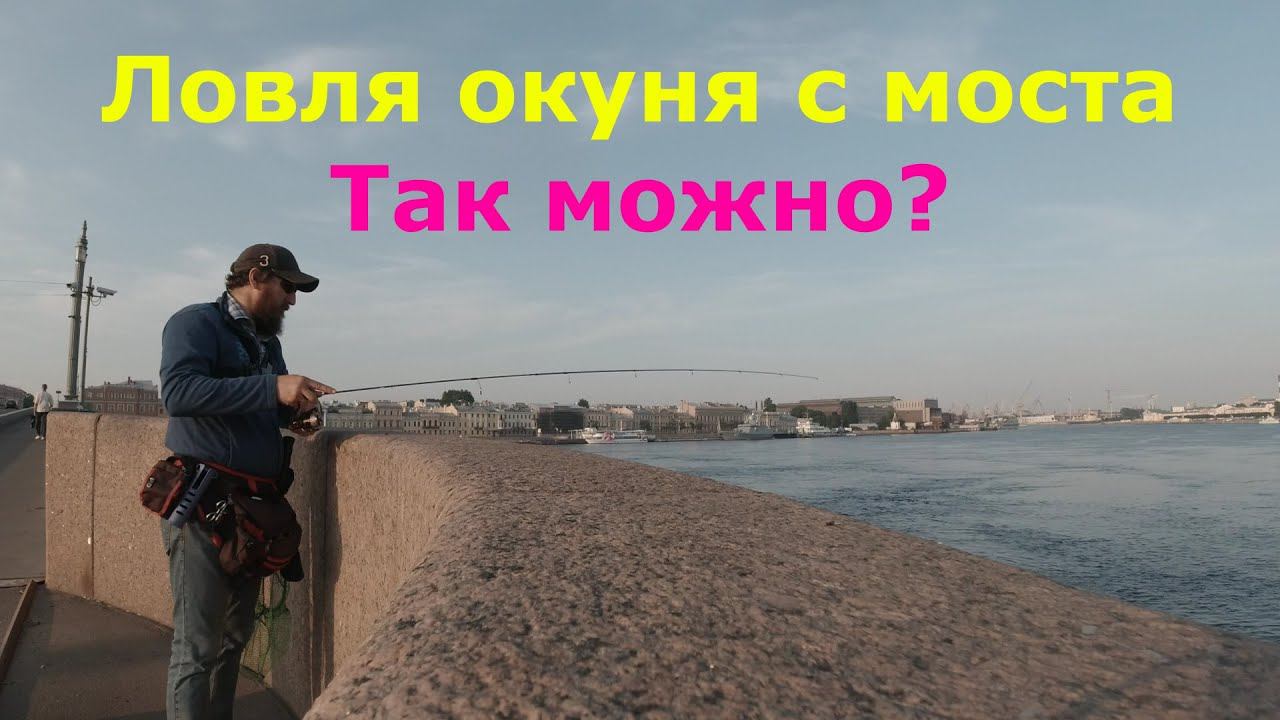 #433 #streetfishing | Окунь под мостом | смотреть онлайн