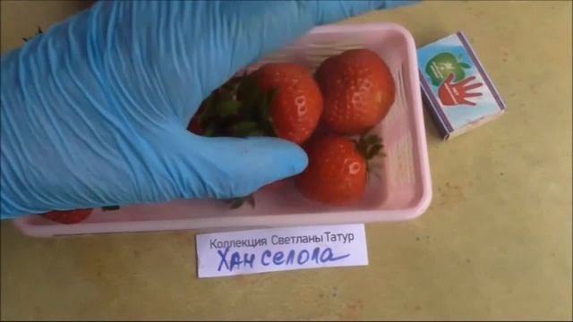 ХАНСАЛОЛА. В нашем полку прибыло! Еще одна"клубничная" новинка сезона - 2019.. смотреть онлайн
