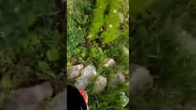 //ВЛОГ// •Отработка в школе 2019•(◠‿◕) смотреть онлайн