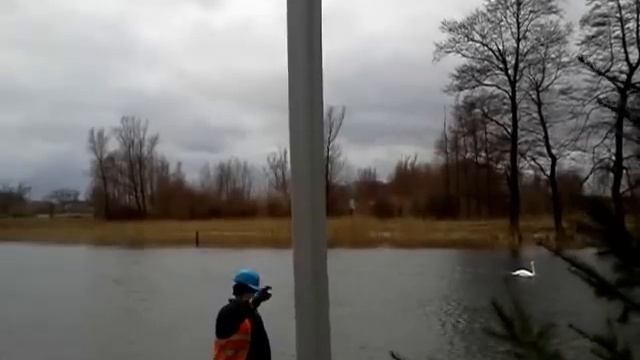 погружение ШПУНТА ПВХ.mp4 смотреть онлайн