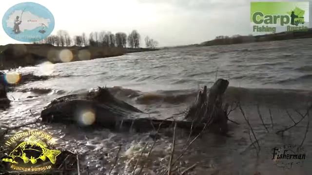 Второй кубок Курской области по ловле карпа Carp Fishing - Степановка 2013 год - клип смотреть онлайн