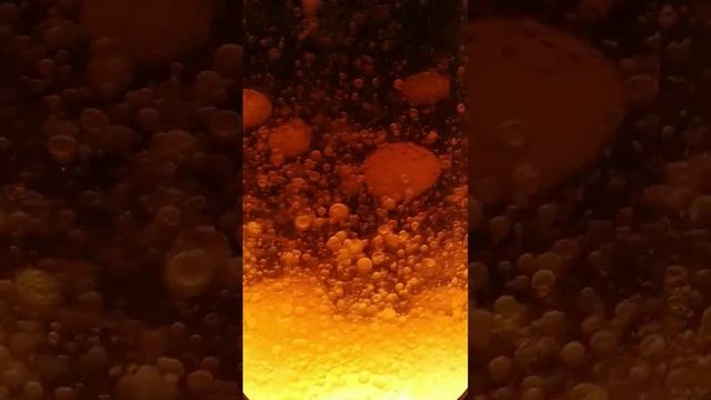 завораживающие пузырьки лампы?это так красиво!!! смотреть онлайн
