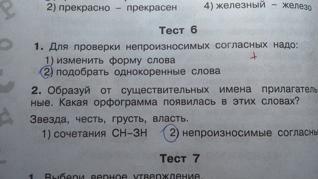 Проверка тетрадей. Русский язык. Мини - тесты смотреть онлайн