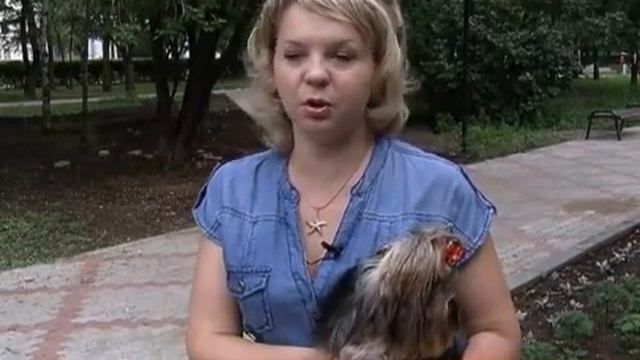 ЩЕНКИ НА РАЗВОД смотреть онлайн