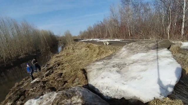 Рыбалка на поплавок. Клёвое место. смотреть онлайн