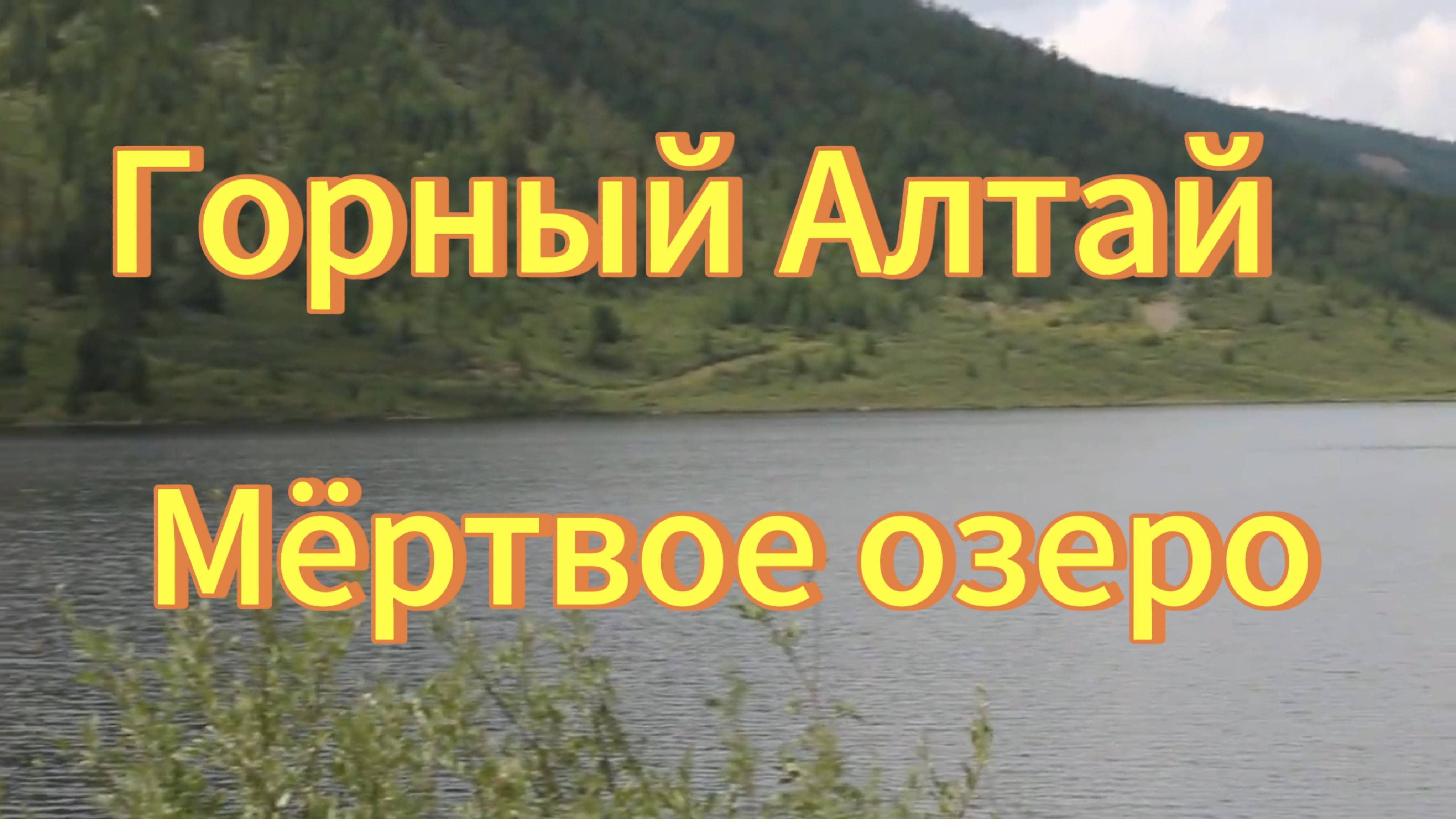 Мертвое озеро. Озеро Чейбек-кель на Горном Алтае. Природа Горного Алтая. смотреть онлайн