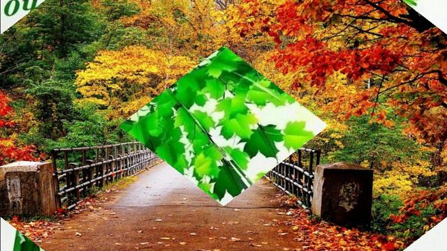 Как бабочка исчез очередной июль...