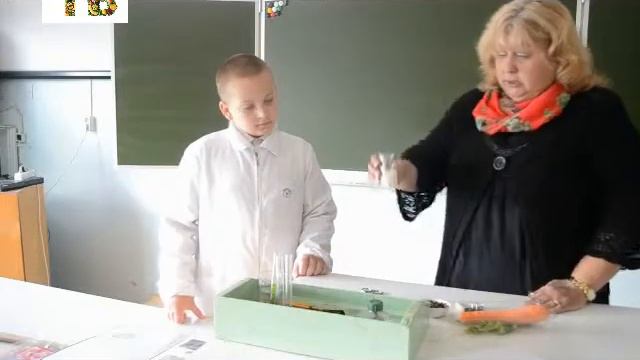 5. ХОЧУ ВСЁ ЗНАТЬ смотреть онлайн