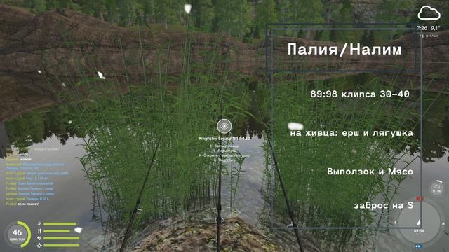 Русская Рыбалка 4  Russian Fishing 4  Озеро Куори - Палия и Налим!