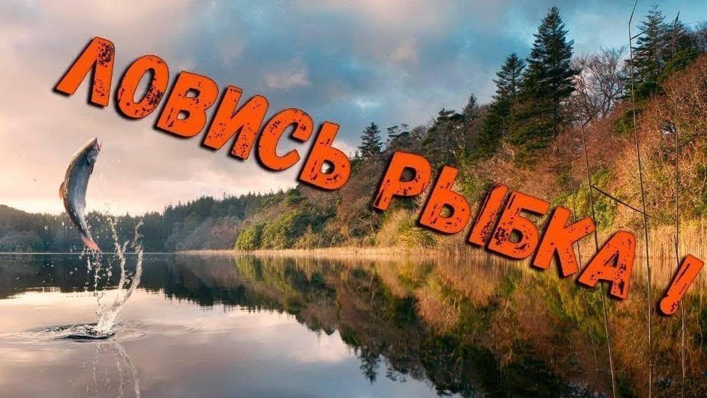 Russian Fishing 4 /Русская рыбалка 4 по рыбным местам смотреть онлайн