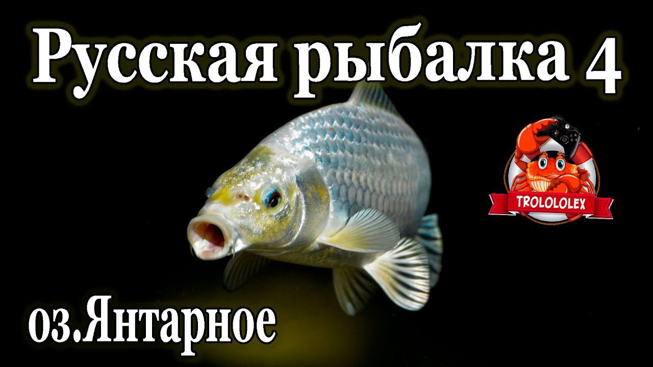 Русская рыбалка 4 озЯнтарное смотреть онлайн