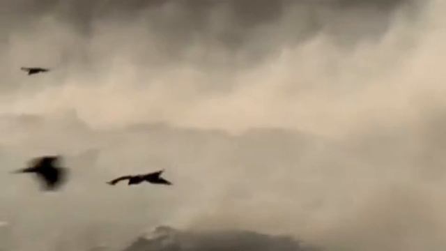 Защитим озоновый слой земли смотреть онлайн