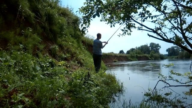 Рыбалка на Протве 13.07.2020г*** смотреть онлайн