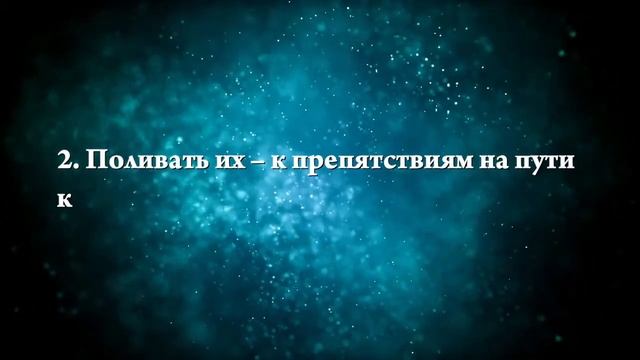 К чему снятся красные розы - Онлайн Сонник Эксперт смотреть онлайн