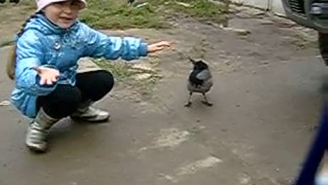 Умная ворона 2 смотреть онлайн