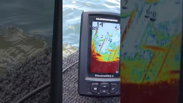 Humminbird PIRANHAMAX 4 (CRAPPIE FISHING ON A BUDGET) смотреть онлайн