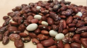 Как хранить фасоль