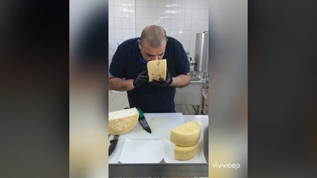 СЫР качотта fresca!!! Сыровар Папа Суррооо смотреть онлайн