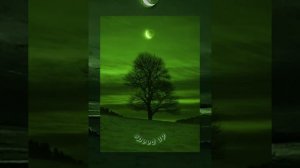 money money green green (speed up ver.)