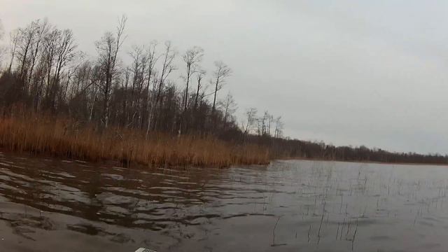 Рыбаки ловили раков, а поймали... смотреть онлайн