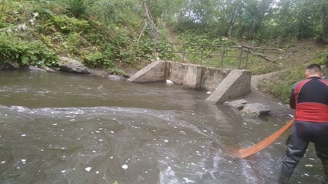 Ловля живца кастинговой сетью, ловля на кружки и спининг смотреть онлайн