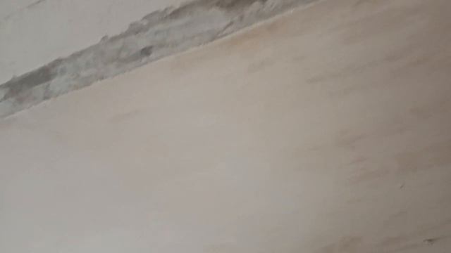 23 октября 2023 пол & стена смотреть онлайн