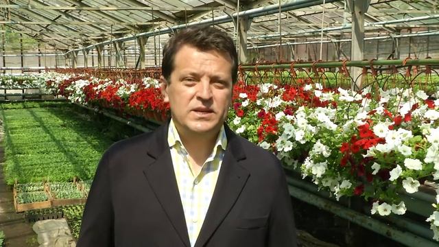 В этом году в Казани планируется высадить до 2 млн саженцев цветов
