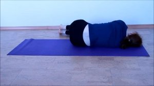 #2 Соматика Томаса Ханны. 8 кошачьих потягиваний