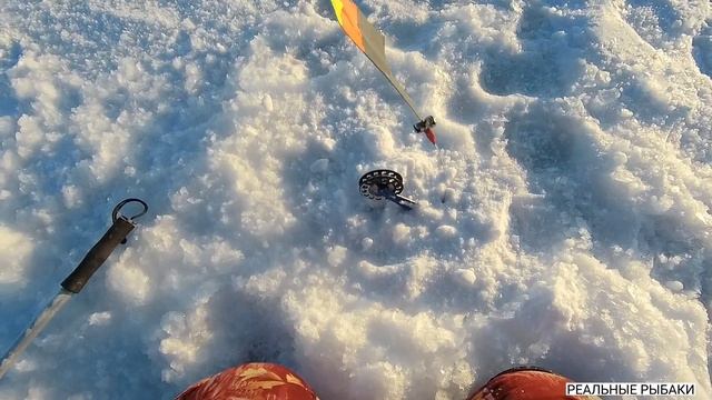 Зимняя рыбалка 2022-23?153-ий Канал им.К.Сатпаева?Щука, крупный окунь на жерлицы?Сезон 2022 - 2023! смотреть онлайн