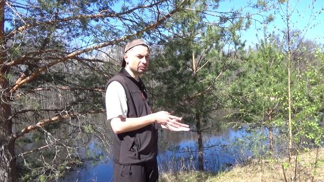 Обыкновенная гадюка или Vipera berus смотреть онлайн