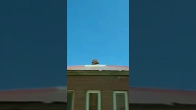 Уральск .город. смотреть онлайн