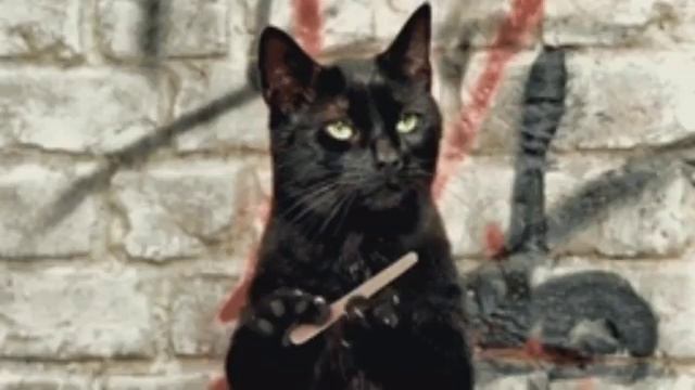 Фильмы и сериалы про Соника смотреть онлайн