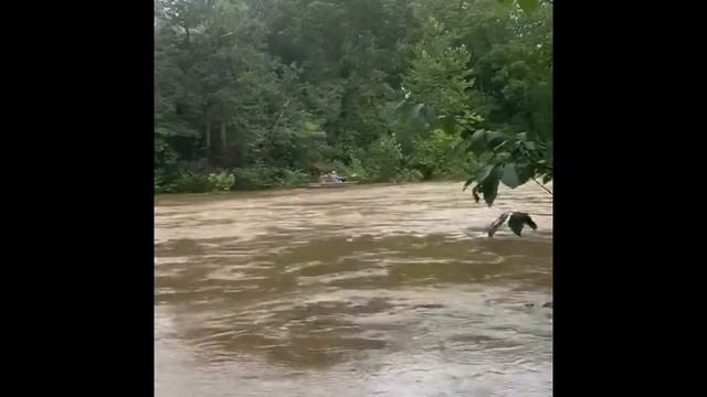 Shepherds Crossing The Cowpasture смотреть онлайн