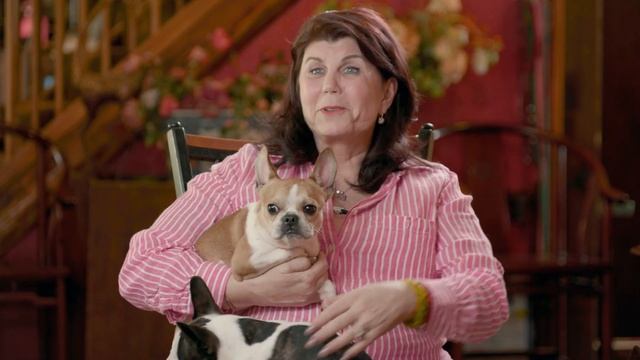 Teacup Mini Micro French Bulldog Mix, Award Winning Royal Frenchel