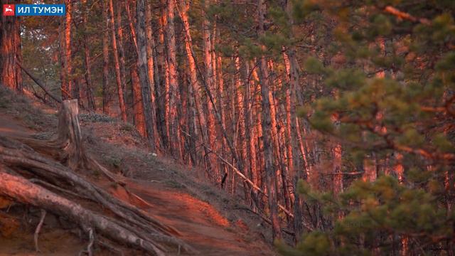 LIFEvideo: Ледоход на реке Лене 22 мая 2022 года Кангаласский мыс Якутия смотреть онлайн