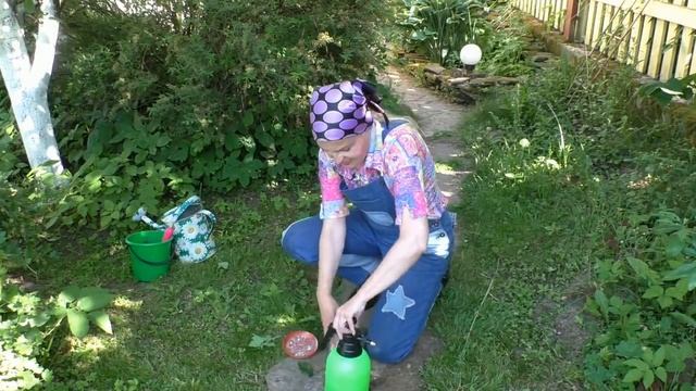Как снять стресс у томатов смотреть онлайн