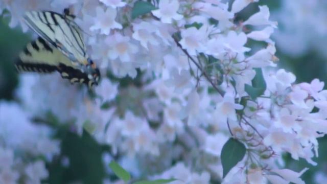 🔴Он думал, что сын отвез его в дом престарелых. Но когда он вышел из....Рассказ до слез! смотреть онлайн